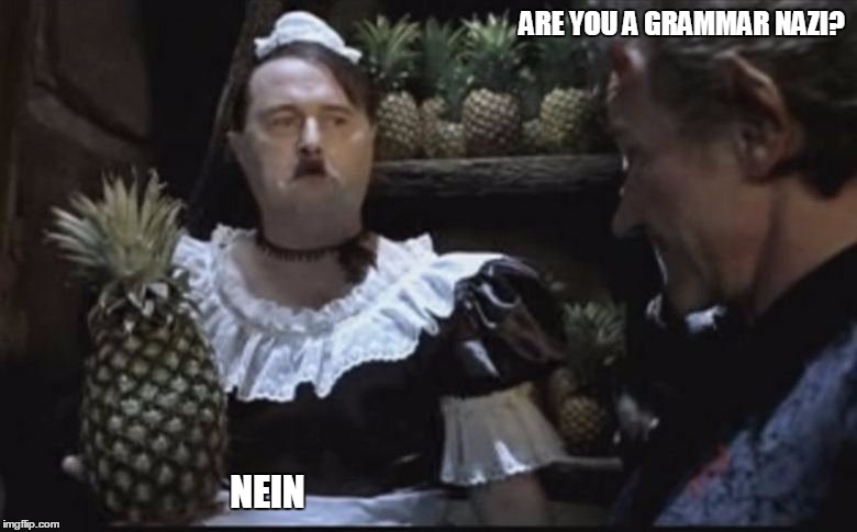 Hitler Pineapple | ARE YOU A GRAMMAR NAZI? NEIN | image tagged in hitler pineapple | made w/ Imgflip meme maker