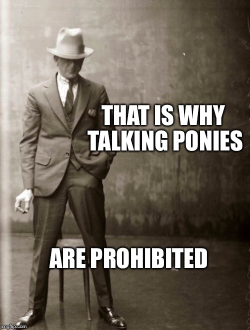 Government Agent Man | THAT IS WHY TALKING PONIES ARE PROHIBITED | image tagged in government agent man | made w/ Imgflip meme maker