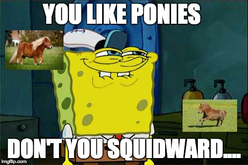 Don't You Squidward Meme | YOU LIKE PONIES; DON'T YOU SQUIDWARD.... | image tagged in memes,dont you squidward | made w/ Imgflip meme maker