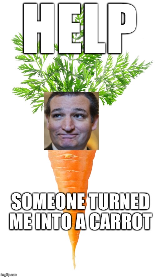 HELP SOMEONE TURNED ME INTO A CARROT | image tagged in carrot | made w/ Imgflip meme maker