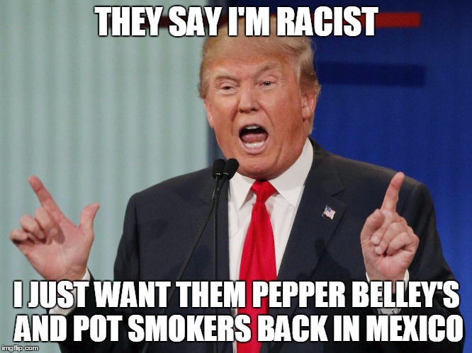 red trump memes |  THEY SAY I'M RACIST; I JUST WANT THEM PEPPER BELLEY'S AND POT SMOKERS BACK IN MEXICO | image tagged in man of steel | made w/ Imgflip meme maker