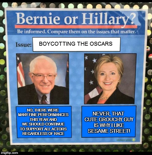 Bernie or Hillary? | BOYCOTTING THE OSCARS; NO, THERE WERE MANY FINE PERFORMANCES THIS YEAR AND WE SHOULD CONTINUE TO SUPPORT ALL ACTORS REGARDLESS OF RACE; NEVER, THAT CUTE GROUCHY GUY IS WHY I LIKE SESAME STREET! | image tagged in bernie or hillary | made w/ Imgflip meme maker