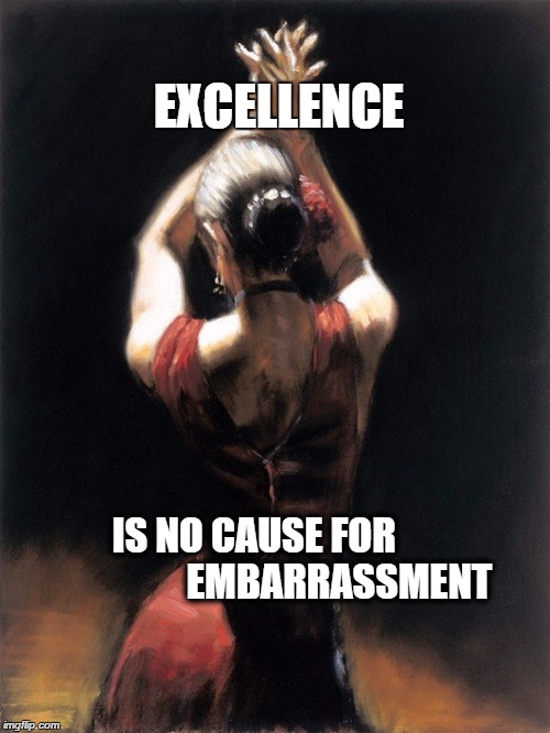 EXCELLENCE; IS NO CAUSE FOR                      EMBARRASSMENT | image tagged in don't be embarrassed by excellence 1 | made w/ Imgflip meme maker