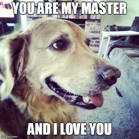 YOU ARE MY MASTER AND I LOVE YOU | image tagged in sammy | made w/ Imgflip meme maker