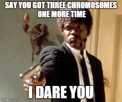 Say That Again I Dare You | SAY YOU GOT THREE CHROMOSOMES ONE MORE TIME; I DARE YOU | image tagged in memes,say that again i dare you | made w/ Imgflip meme maker