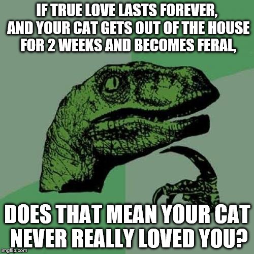 Philosoraptor Meme | IF TRUE LOVE LASTS FOREVER, AND YOUR CAT GETS OUT OF THE HOUSE FOR 2 WEEKS AND BECOMES FERAL, DOES THAT MEAN YOUR CAT NEVER REALLY LOVED YOU? | image tagged in memes,philosoraptor | made w/ Imgflip meme maker