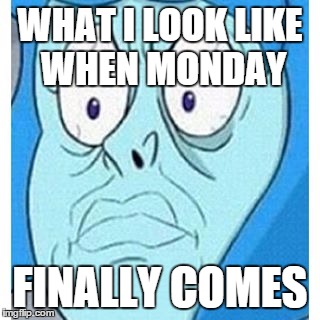 WHAT I LOOK LIKE WHEN MONDAY; FINALLY COMES | image tagged in the monday face | made w/ Imgflip meme maker