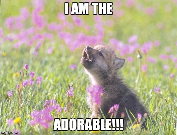 Adorable Wolf Pup. | I AM THE; ADORABLE!!! | image tagged in memes,baby insanity wolf | made w/ Imgflip meme maker