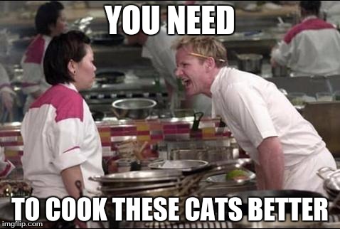 Angry Chef Gordon Ramsay | YOU NEED; TO COOK THESE CATS BETTER | image tagged in memes,angry chef gordon ramsay | made w/ Imgflip meme maker