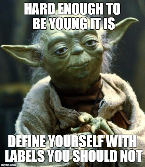 Star Wars Yoda Meme | HARD ENOUGH TO BE YOUNG IT IS DEFINE YOURSELF WITH LABELS YOU SHOULD NOT | image tagged in memes,star wars yoda | made w/ Imgflip meme maker