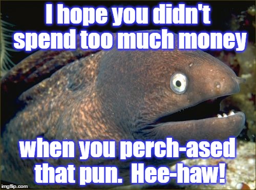 I hope you didn't spend too much money when you perch-ased that pun.  Hee-haw! | made w/ Imgflip meme maker