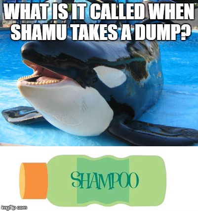 Shamu Shampoo | WHAT IS IT CALLED WHEN SHAMU TAKES A DUMP? | image tagged in poop,shampoo,seaworld | made w/ Imgflip meme maker
