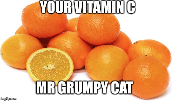 YOUR VITAMIN C MR GRUMPY CAT | made w/ Imgflip meme maker