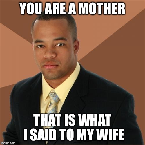 Successful Black Man | YOU ARE A MOTHER; THAT IS WHAT I SAID TO MY WIFE | image tagged in memes,successful black man | made w/ Imgflip meme maker