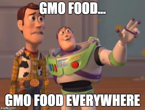 X, X Everywhere Meme | GMO FOOD... GMO FOOD EVERYWHERE | image tagged in memes,x x everywhere | made w/ Imgflip meme maker