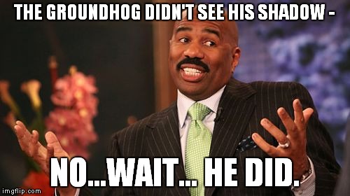 THE GROUNDHOG DIDN'T SEE HIS SHADOW -; NO...WAIT... HE DID. | image tagged in memes,steve harvey | made w/ Imgflip meme maker