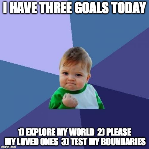 Success Kid Meme | I HAVE THREE GOALS TODAY; 1) EXPLORE MY WORLD  2) PLEASE MY LOVED ONES  3) TEST MY BOUNDARIES | image tagged in memes,success kid | made w/ Imgflip meme maker