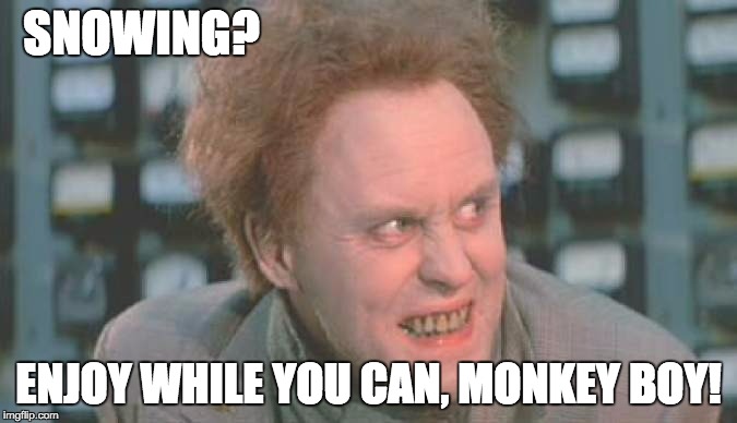 Jon Whorfin | SNOWING? ENJOY WHILE YOU CAN, MONKEY BOY! | image tagged in jon whorfin | made w/ Imgflip meme maker