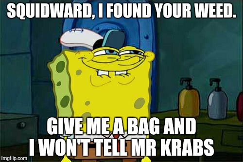 Seaweed | SQUIDWARD, I FOUND YOUR WEED. GIVE ME A BAG AND I WON'T TELL MR KRABS | image tagged in memes,dont you squidward | made w/ Imgflip meme maker