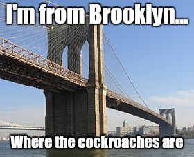 I'm from Brooklyn... Where the cockroaches are | image tagged in brooklyn | made w/ Imgflip meme maker