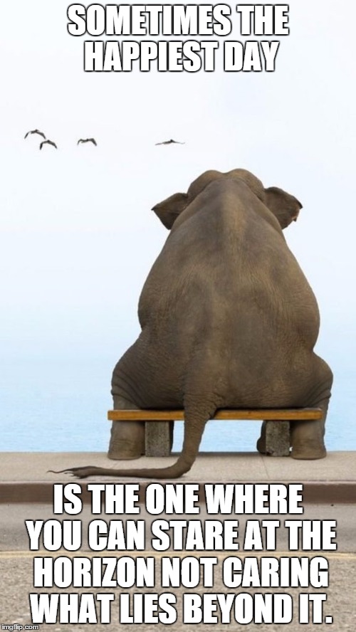 SOMETIMES THE HAPPIEST DAY; IS THE ONE WHERE YOU CAN STARE AT THE HORIZON NOT CARING WHAT LIES BEYOND IT. | image tagged in memes,elephant,bring me the horizon | made w/ Imgflip meme maker