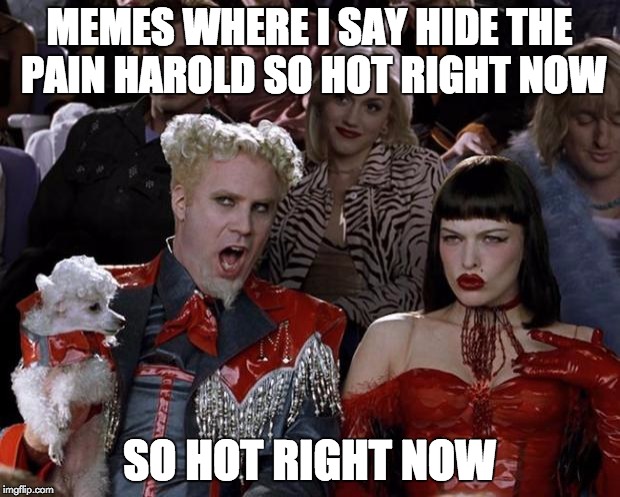 Mugatu So Hot Right Now Meme | MEMES WHERE I SAY HIDE THE PAIN HAROLD SO HOT RIGHT NOW; SO HOT RIGHT NOW | image tagged in memes,mugatu so hot right now | made w/ Imgflip meme maker