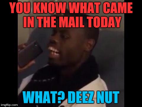 Deez nuts  | YOU KNOW WHAT CAME IN THE MAIL TODAY; WHAT?
DEEZ NUT | image tagged in deez nuts | made w/ Imgflip meme maker