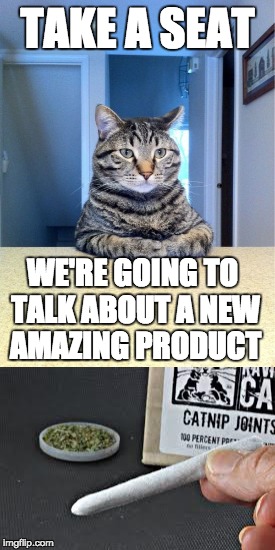 TAKE A SEAT; WE'RE GOING TO TALK ABOUT A NEW AMAZING PRODUCT | image tagged in take a seat cat,joint | made w/ Imgflip meme maker