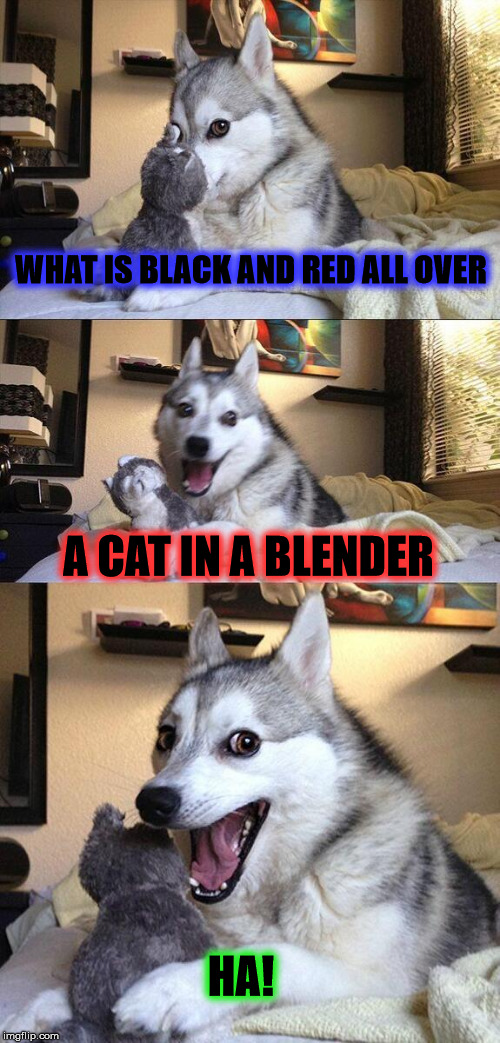 joke dog | WHAT IS BLACK AND RED ALL OVER; A CAT IN A BLENDER; HA! | image tagged in memes,bad pun dog | made w/ Imgflip meme maker