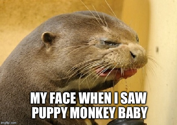 Disgusted Otter | MY FACE WHEN I SAW PUPPY MONKEY BABY | image tagged in disgusted otter | made w/ Imgflip meme maker