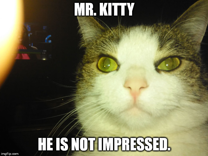Intelecat | MR. KITTY; HE IS NOT IMPRESSED. | image tagged in intelecat | made w/ Imgflip meme maker