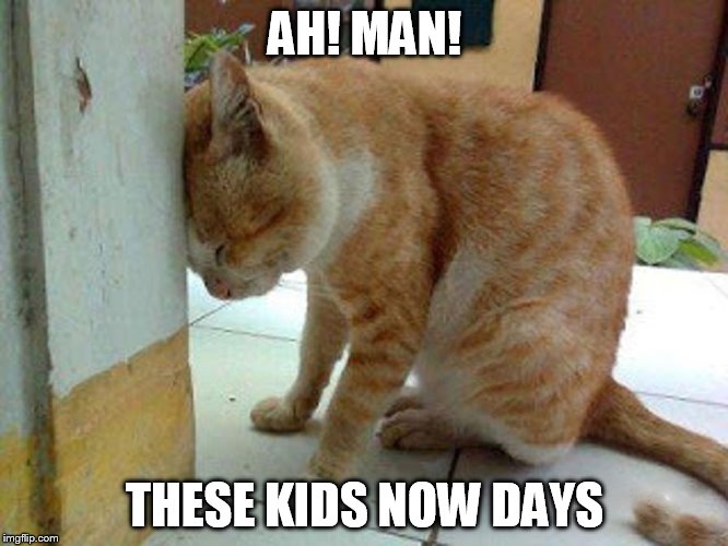 AH! MAN! THESE KIDS NOW DAYS | image tagged in kids,cat meme | made w/ Imgflip meme maker