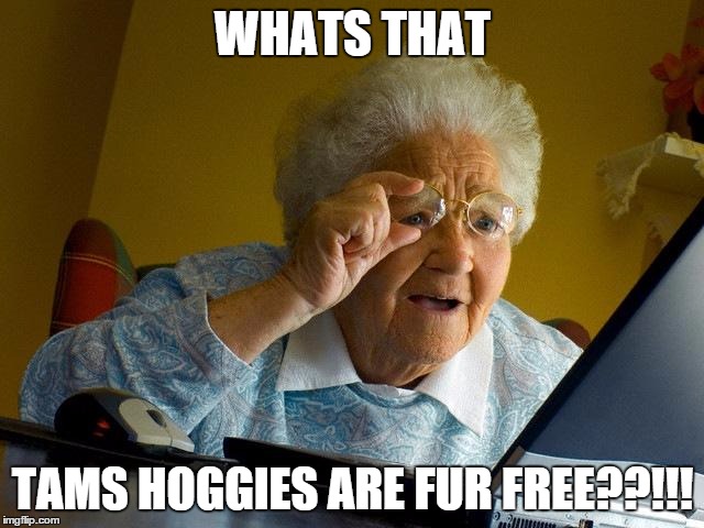 Grandma Finds The Internet | WHATS THAT; TAMS HOGGIES ARE FUR FREE??!!! | image tagged in memes,grandma finds the internet | made w/ Imgflip meme maker