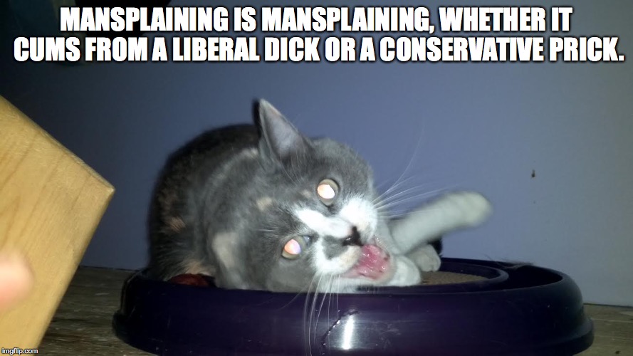 MANSPLAINING IS MANSPLAINING, WHETHER IT CUMS FROM A LIBERAL DICK OR A CONSERVATIVE PRICK. | image tagged in mansplaining | made w/ Imgflip meme maker