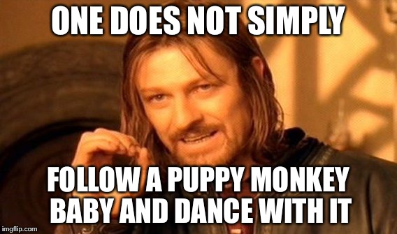 One Does Not Simply | ONE DOES NOT SIMPLY; FOLLOW A PUPPY MONKEY BABY AND DANCE WITH IT | image tagged in memes,one does not simply | made w/ Imgflip meme maker