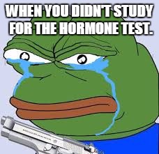rare pepe | WHEN YOU DIDN'T STUDY FOR THE HORMONE TEST. | image tagged in rare pepe | made w/ Imgflip meme maker