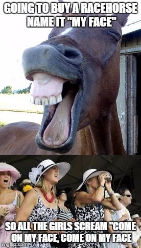GOING TO BUY A RACEHORSE NAME IT "MY FACE"; SO ALL THE GIRLS SCREAM "COME ON MY FACE, COME ON MY FACE | image tagged in horses | made w/ Imgflip meme maker