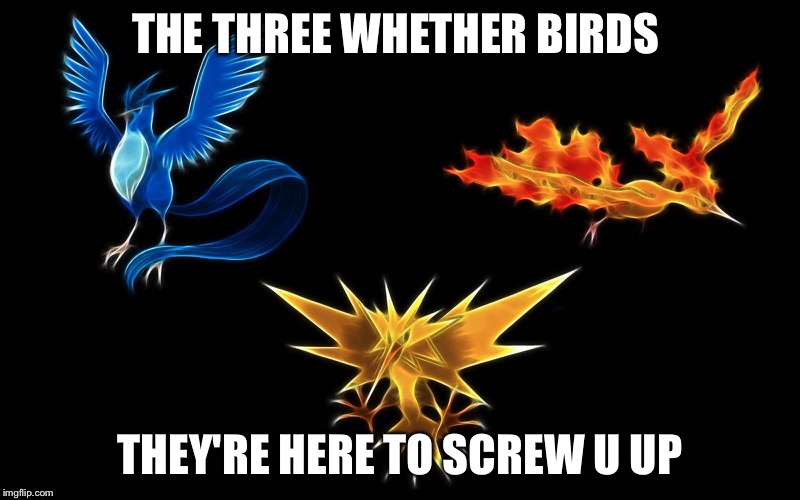 The weather birds  | THE THREE WHETHER BIRDS; THEY'RE HERE TO SCREW U UP | image tagged in memes | made w/ Imgflip meme maker