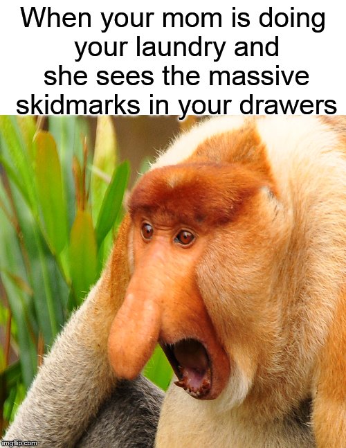 Mom's reaction.... | When your mom is doing your laundry and she sees the massive skidmarks in your drawers | image tagged in funny memes,monkey,memes,meme,mom | made w/ Imgflip meme maker