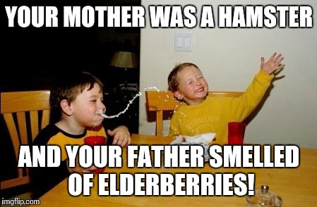 Yo Mamas So Fat | YOUR MOTHER WAS A HAMSTER; AND YOUR FATHER SMELLED OF ELDERBERRIES! | image tagged in memes,yo mamas so fat | made w/ Imgflip meme maker