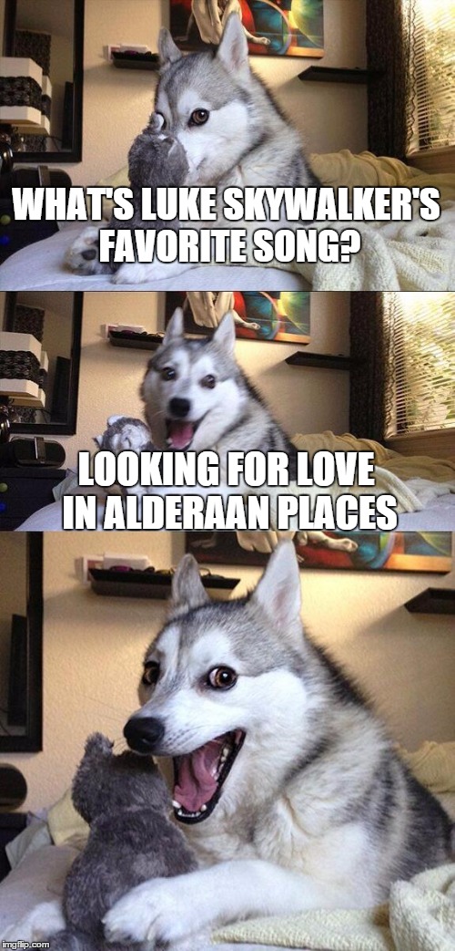 Bad Pun Dog | WHAT'S LUKE SKYWALKER'S FAVORITE SONG? LOOKING FOR LOVE IN ALDERAAN PLACES | image tagged in memes,bad pun dog | made w/ Imgflip meme maker