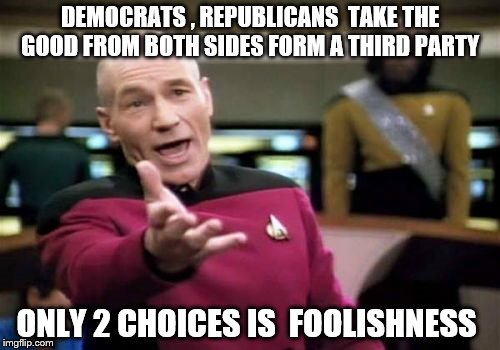 Picard Wtf | DEMOCRATS , REPUBLICANS  TAKE THE GOOD FROM BOTH SIDES FORM A THIRD PARTY; ONLY 2 CHOICES IS  FOOLISHNESS | image tagged in memes,picard wtf | made w/ Imgflip meme maker