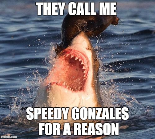 Travelonshark Meme | THEY CALL ME; SPEEDY GONZALES FOR A REASON | image tagged in memes,travelonshark | made w/ Imgflip meme maker