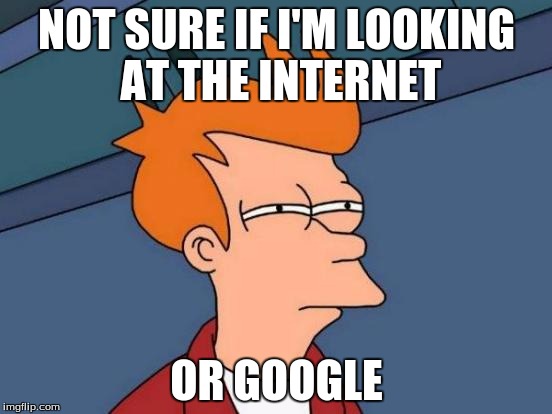 Futurama Fry Meme | NOT SURE IF I'M LOOKING AT THE INTERNET; OR GOOGLE | image tagged in memes,futurama fry | made w/ Imgflip meme maker