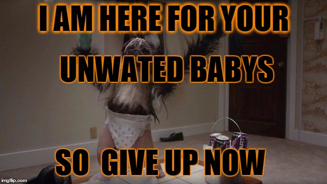Puppy baby monkey | I AM HERE FOR YOUR; UNWATED BABYS; SO  GIVE UP NOW | image tagged in puppy baby monkey | made w/ Imgflip meme maker