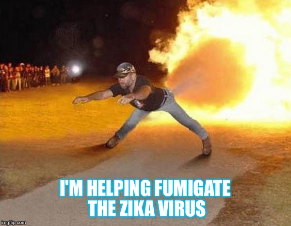fire fart | I'M HELPING FUMIGATE THE ZIKA VIRUS | image tagged in fire fart | made w/ Imgflip meme maker
