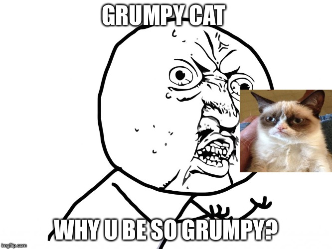 Why u no face | GRUMPY CAT; WHY U BE SO GRUMPY? | image tagged in why u no face | made w/ Imgflip meme maker