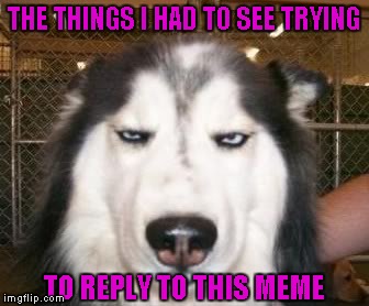 THE THINGS I HAD TO SEE TRYING TO REPLY TO THIS MEME | made w/ Imgflip meme maker