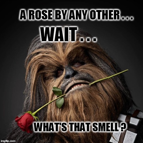 Bootynauseous | A ROSE BY ANY OTHER . . . WAIT . . . WHAT'S THAT SMELL ? | image tagged in star wars,chewbacca,valentine's day,beautyandthebeast,bigfoot,bad smell | made w/ Imgflip meme maker