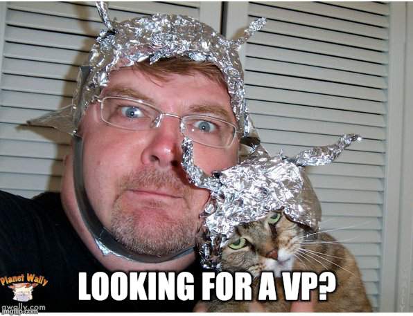 tin foil hat conspiracy theory | LOOKING FOR A VP? | image tagged in tin foil hat conspiracy theory | made w/ Imgflip meme maker